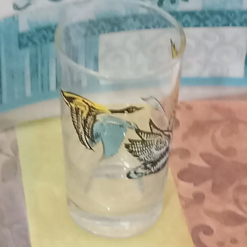 Wild Geese Series Drink Tumbler 12 oz Glass Blue Black Yellow Fowl